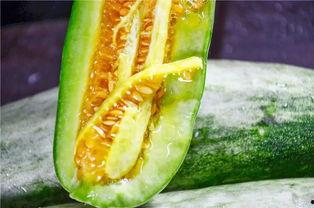 吃瓜的网红叫啥来,揭秘吃瓜网红的爆红之路  第2张